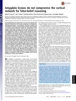 Amygdala Lesions Do Not Compromise the Cortical Network for False-Belief Reasoning