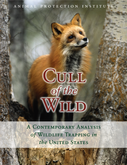 Cull of the Wild a Contemporary Analysis of Wildlife Trapping in the United States
