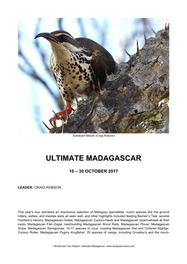 Ultimate Madagascar