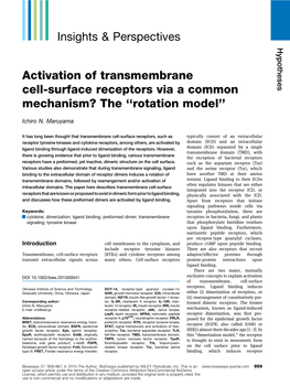 Activation of Transmembrane Cell-Surface Receptors Via a Common Mechanism? the ‘‘Rotation Model’’