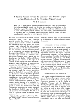 A Possible Relation Between the Occurrence of a Dendritic Organ and the Distribution of the Plotosidae (Cypriniformes)