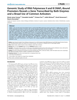 Genomic Study of RNA Polymerase II and III Snapc-Bound Promoters Reveals a Gene Transcribed by Both Enzymes and a Broad Use of Common Activators