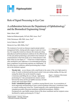 Role of Signal Processing in Eye Care a Collaboration Between the Department of Ophthalmology and the Biomedical Engineering