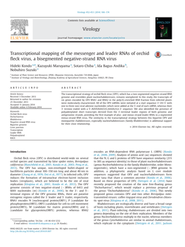 Transcriptional Mapping of the Messenger and Leader Rnas of Orchid ﬂeck Virus, a Bisegmented Negative-Strand RNA Virus