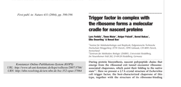Trigger Factor in Complex with the Ribosome Forms a Molecular Cradle