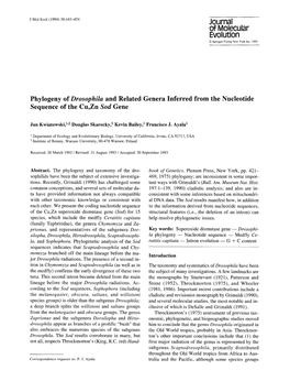 Phylogeny of Drosophila and Related Genera Inferred from the Nucleotide Sequence of the Cu,Zn Sod Gene