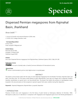 Dispersed Permian Megaspores from Rajmahal Basin, Jharkhand