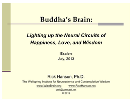 Lighting up the Neural Circuits of Happiness, Love and Wisdom