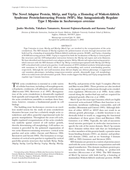 The Novel Adaptor Protein, Mti1p, and Vrp1p, a Homolog of Wiskott-Aldrich Syndrome Protein-Interacting Protein