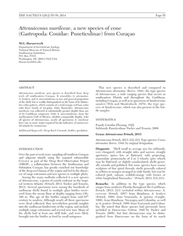 Attenuiconus Marileeae, a New Species of Cone (Gastropoda: Conidae: Puncticulinae) from Curac¸Ao