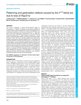 Patterning and Gastrulation Defects Caused by the Tw18 Lethal Are Due