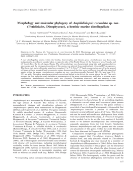 Morphology and Molecular Phylogeny of Amphidiniopsis Rotundata Sp