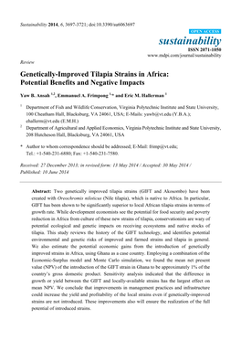 Genetically-Improved Tilapia Strains in Africa: Potential Benefits and Negative Impacts