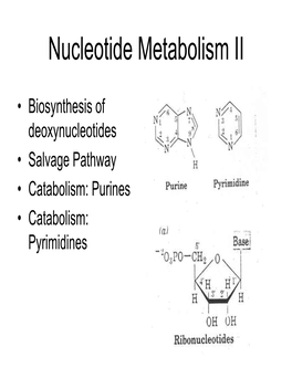 Nucleotide Metabolism II
