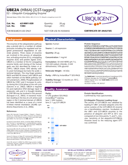 UBE2A (HR6A) [GST-Tagged] E2 – Ubiquitin Conjugating Enzyme