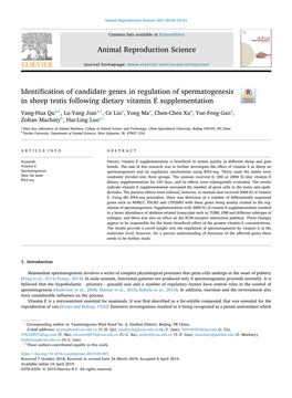 Identification of Candidate Genes in Regulation of Spermatogenesis In