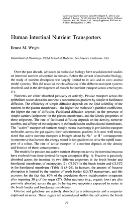 Human Intestinal Nutrient Transporters