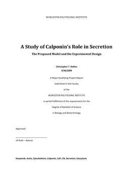 A Study of Calponin's Role in Secretion