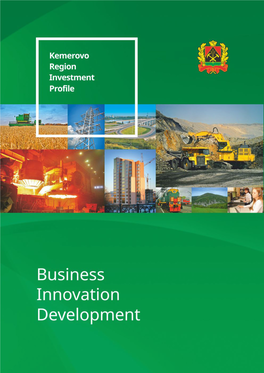 State Support of Investment, Innovation and Production Activities 3