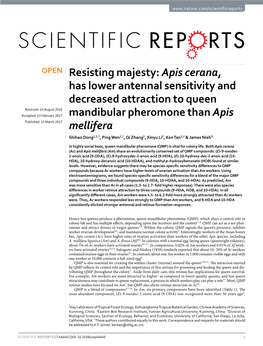 Apis Cerana, Has Lower Antennal Sensitivity and Decreased