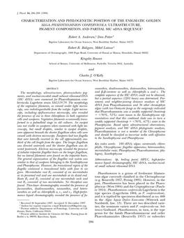 Characterization and Phylogenetic Position of the Enigmatic Golden Alga Phaeothamnion Confervicola: Ultrastructure, Pigment Composition and Partial Ssu Rdna Sequence1