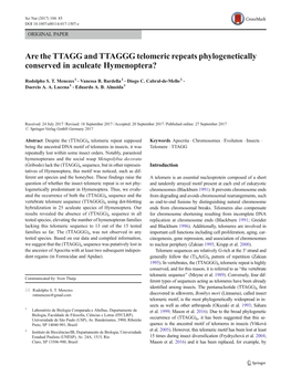 Are the TTAGG and TTAGGG Telomeric Repeats Phylogenetically Conserved in Aculeate Hymenoptera?