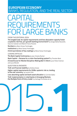 Capital Requirements for Large Banks