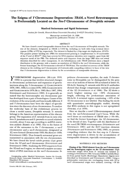 The Enigma of Y Chromosome Degeneration: T', a Novel Retrotransposon Is Preferentially Located on the Neey Chromosome of Drosophila Miranda