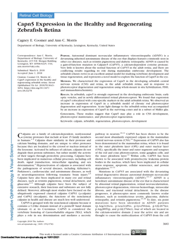 Capn5 Expression in the Healthy and Regenerating Zebrafish Retina