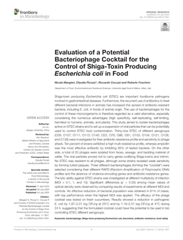 Evaluation of a Potential Bacteriophage Cocktail for the Control of Shiga-Toxin Producing Escherichia Coli in Food
