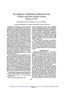 Non-Utilization of Radioactive Lodinated Uracil, Uridine, and Orotic Acid by Animal Tissues in Vivo W