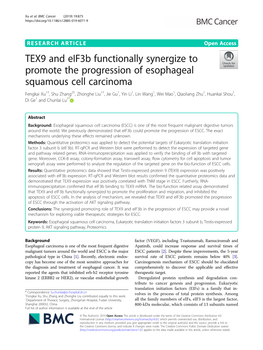 TEX9 and Eif3b Functionally Synergize to Promote the Progression Of