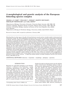 A Morphological and Genetic Analysis of the European Bitterling Species Complex