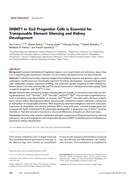 Viewed and Approved by the Quencing (RRBS) Kit (Diagenode) Following Manufacturer’S Institutional Animal Care and Use Committee of University Instruction