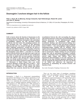 Desmoglein 3 Anchors Telogen Hair in the Follicle