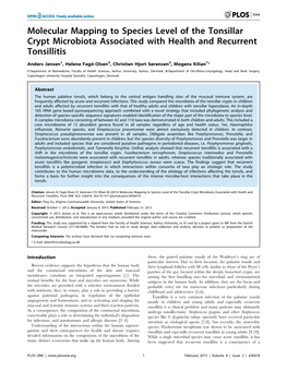 Molecular Mapping to Species Level of the Tonsillar Crypt Microbiota Associated with Health and Recurrent Tonsillitis