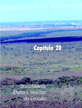 Capítulo 20 Capítulo 20 Capítulo 20 Capítulo 20 Capítulo 20 Capítulo 20