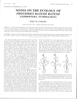 Notes on the Ecology of Phyciodes Batesii Batesii (Lepidoptera: Nymphalidae)