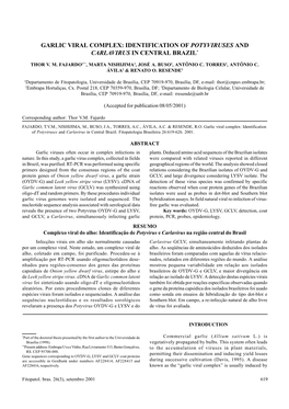 Garlic Viral Complex: Identification of Potyviruses and Carlavirus in Central Brazil*