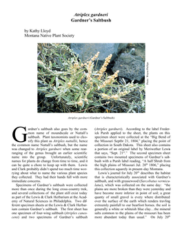 Atriplex Gardneri Gardner's Saltbush