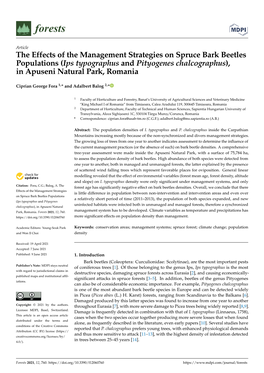 The Effects of the Management Strategies on Spruce Bark Beetles Populations (Ips Typographus and Pityogenes Chalcographus), in Apuseni Natural Park, Romania