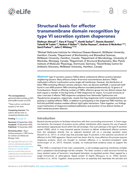 Structural Basis for Effector Transmembrane Domain Recognition