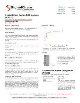 Recombinant Human GRO Gamma (CXCL3) Recombinant Human Protein Expressed in E