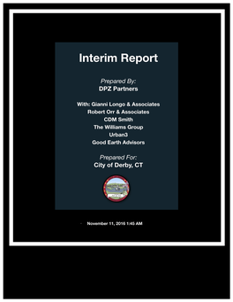 Interim Report