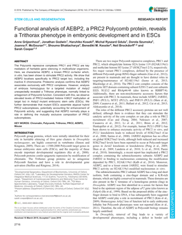 Functional Analysis of AEBP2, a PRC2 Polycomb Protein, Reveals A