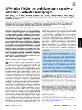 Ufmylation Inhibits the Proinflammatory Capacity of Interferon-Γ–Activated Macrophages