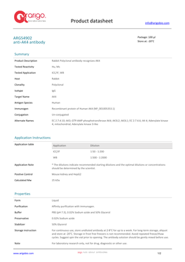 Anti-AK4 Antibody (ARG54902)