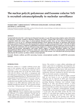 The Nuclear Poly(A) Polymerase and Exosome Cofactor Trf5 Is Recruited Cotranscriptionally to Nucleolar Surveillance