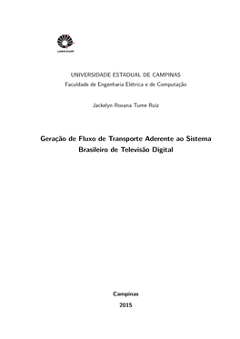 Geração De Fluxo De Transporte Aderente Ao Sistema Brasileiro De Televisão Digital