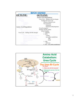 Amino Acid Catabolism: Urea Cycle the Urea Bi-Cycle Two Issues